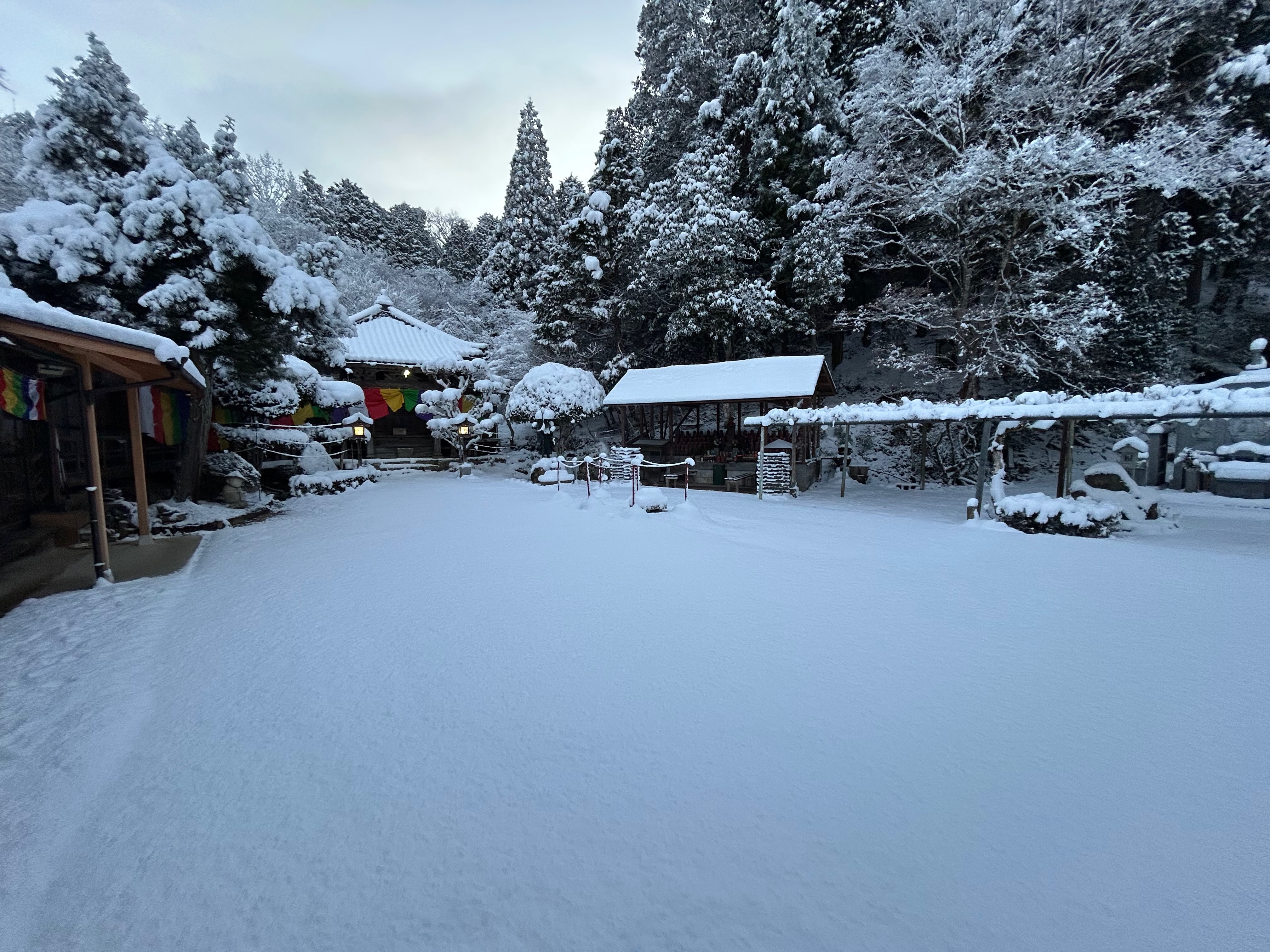 冬の庭