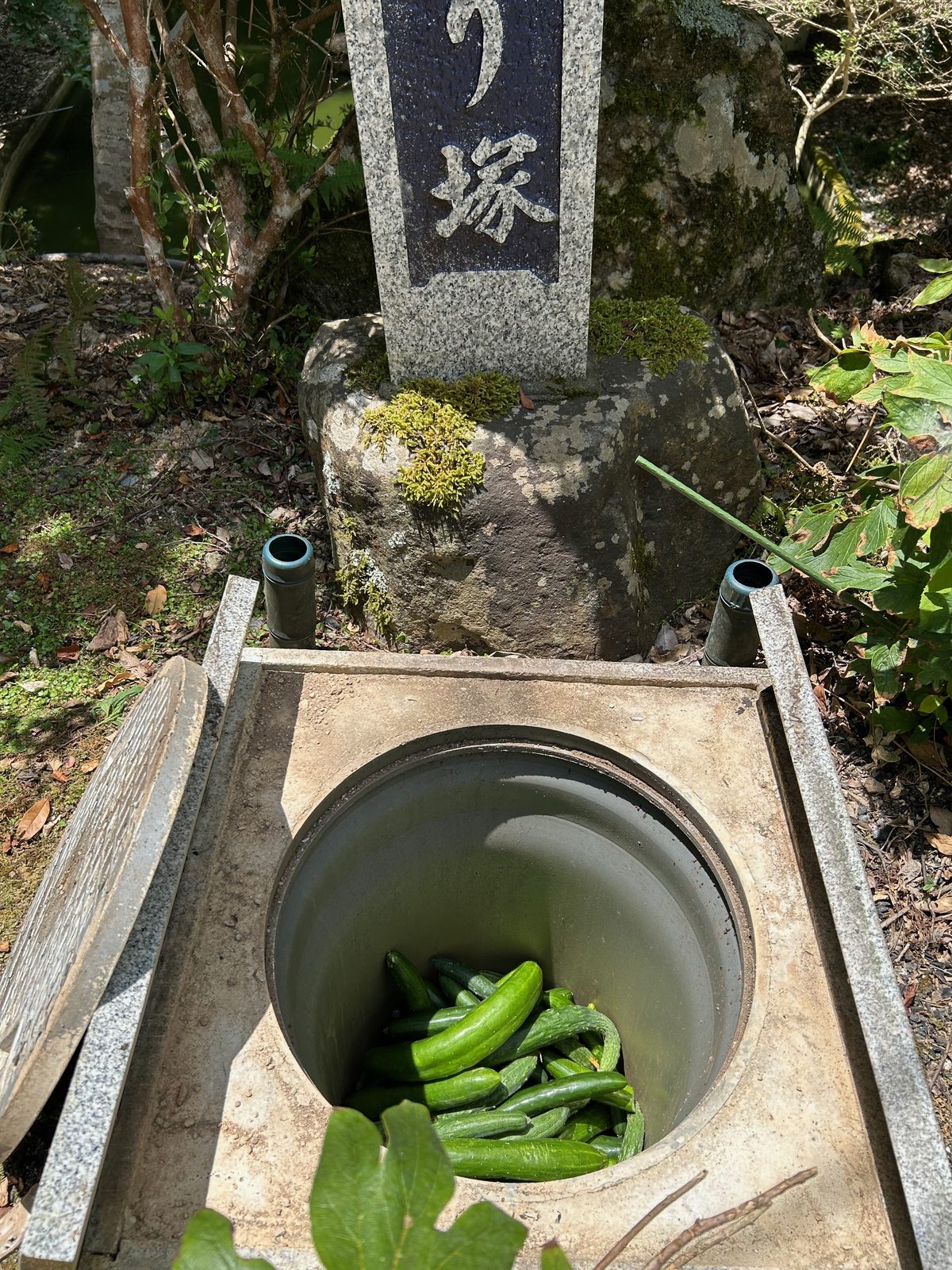 きうり塚に納められたきうり