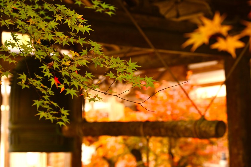 分立山 常光寺の写真