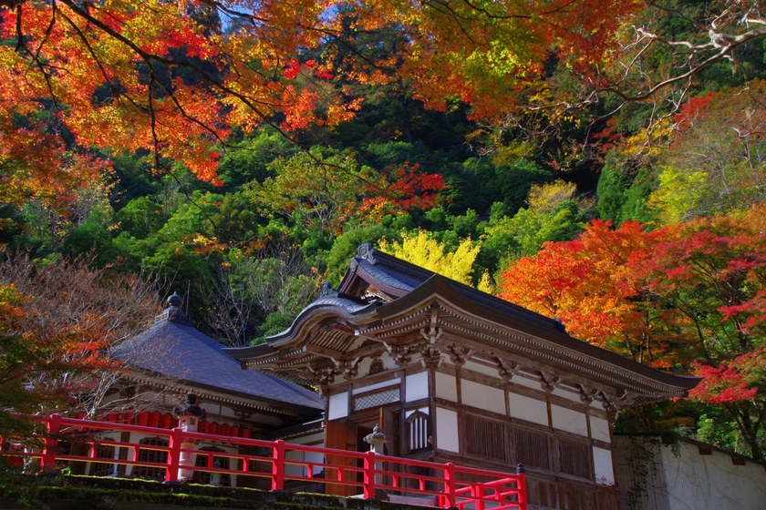船越山 瑠璃寺の写真