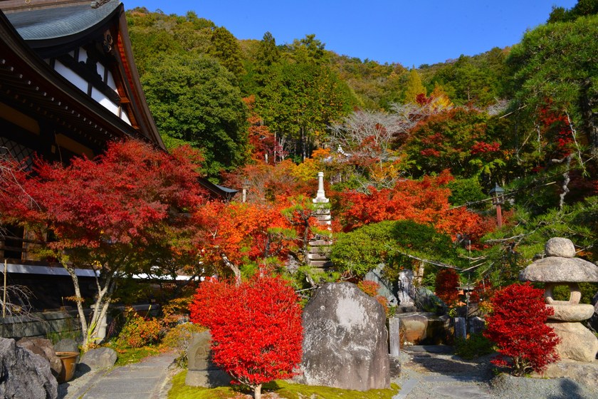 集鳥山 清林寺の写真